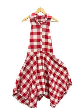 Red and White Gingham Button-Up Fit & Flare Dress